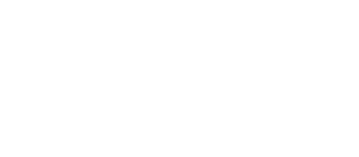 SS Innovations